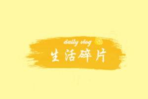 生活碎片是什么意思