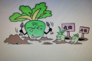 一个萝卜一个坑是什么意思