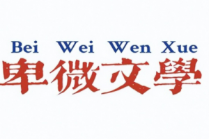 卑微文學是什么意思