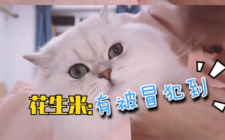 谢谢有被冒犯到