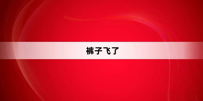裤子飞了