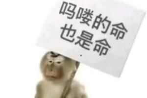 吗喽的命也是命