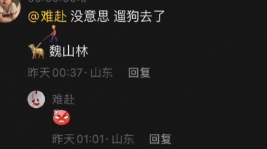 评论区遛狗