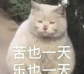 塑料袋子物