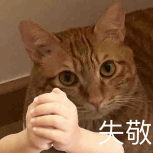 陳印泉廢話文學