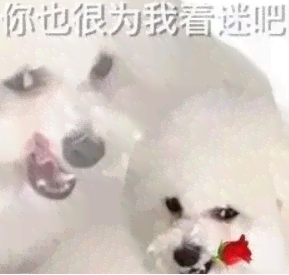 恁应该也很为俺啄米吧
