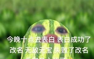 欢迎见证我的表白结果