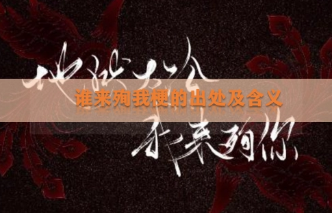 谁来殉我