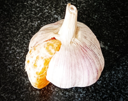橘子装蒜