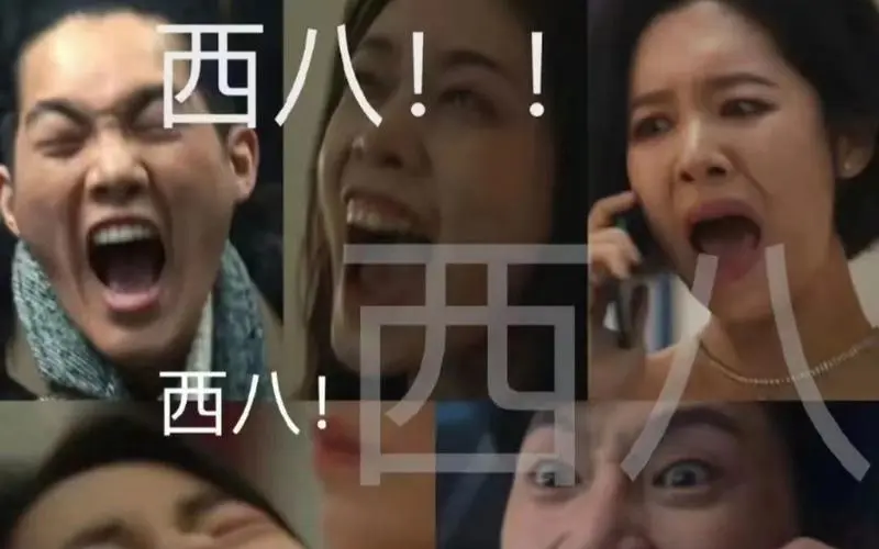 小西八