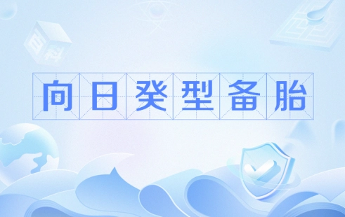 向日葵型备胎