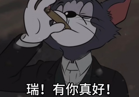 瑞你看到了吗