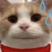 陳工