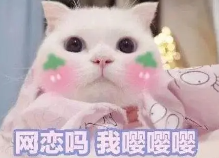 嘤嘤嘤