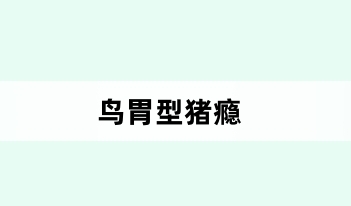 鸟胃型猪瘾