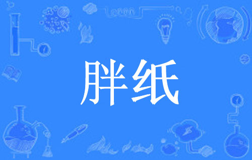 胖纸