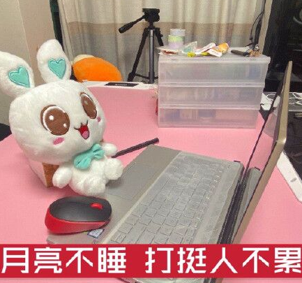 双11打挺人
