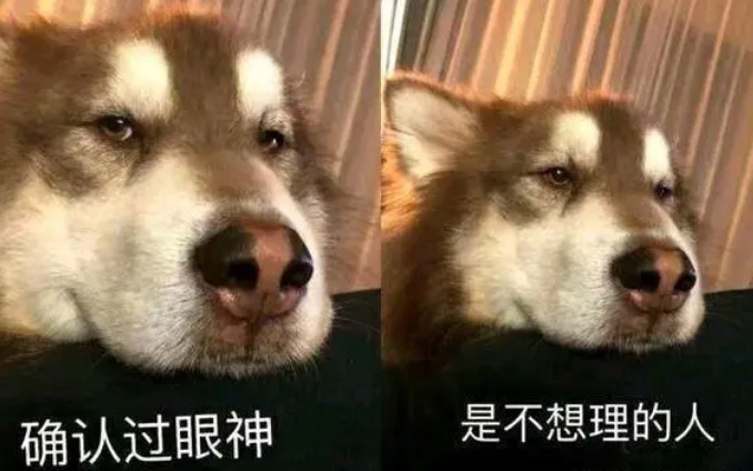 裁判满天飞