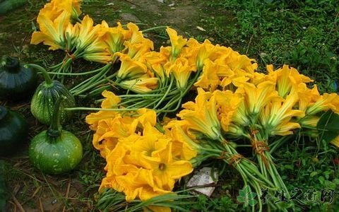 花里花气的瓜
