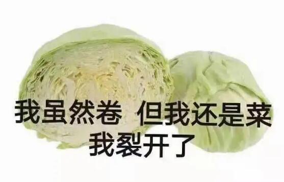 内卷心菜人