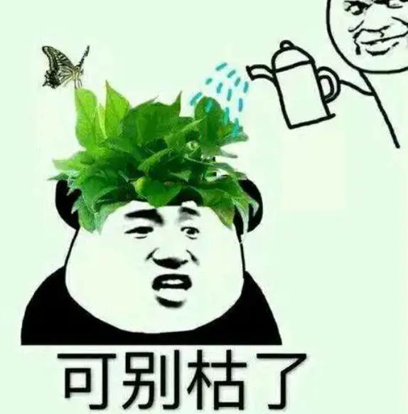 接盘侠喜当爹