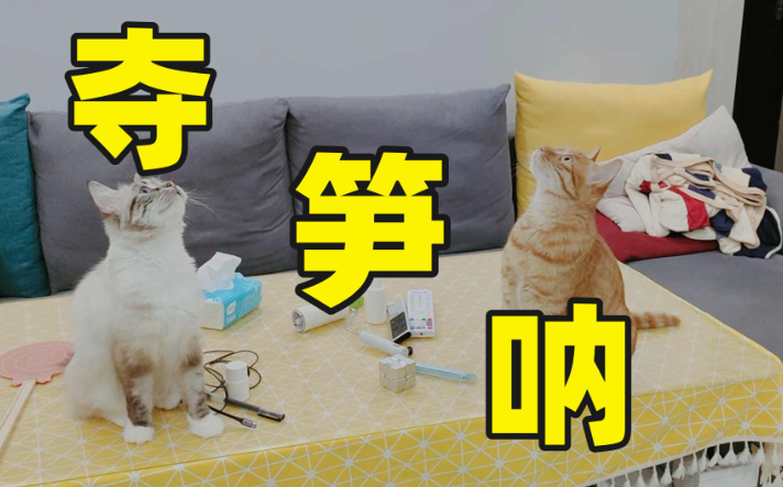 夺笋啊