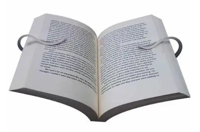 reader