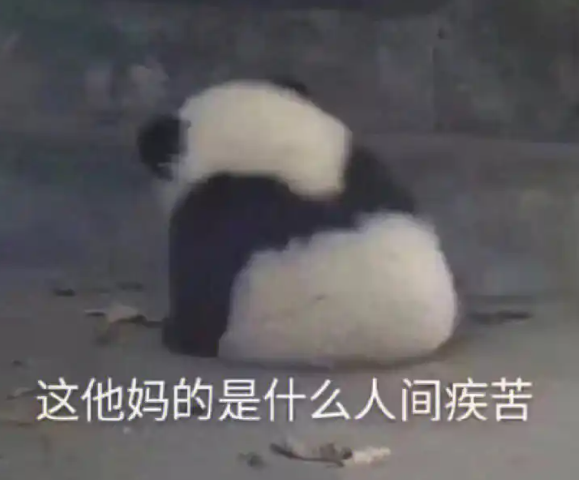 崩溃了我真的崩溃了