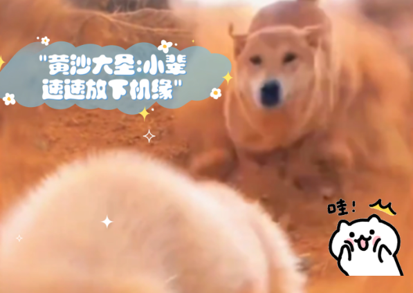 黄沙大圣