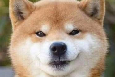 狗頭是什么意思
