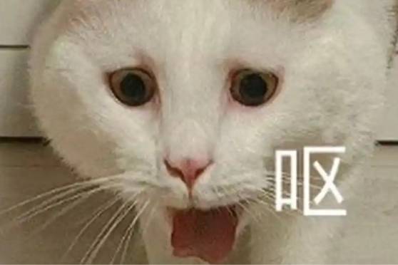 滂臭是什么意思