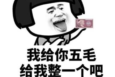 五毛是什么意思