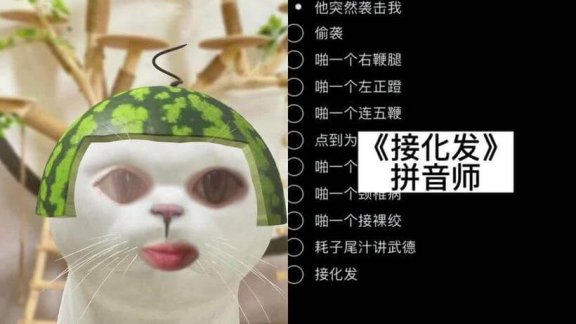接化发BGM