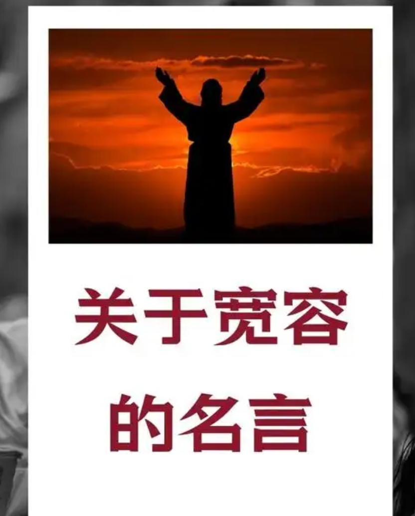 宽容文学