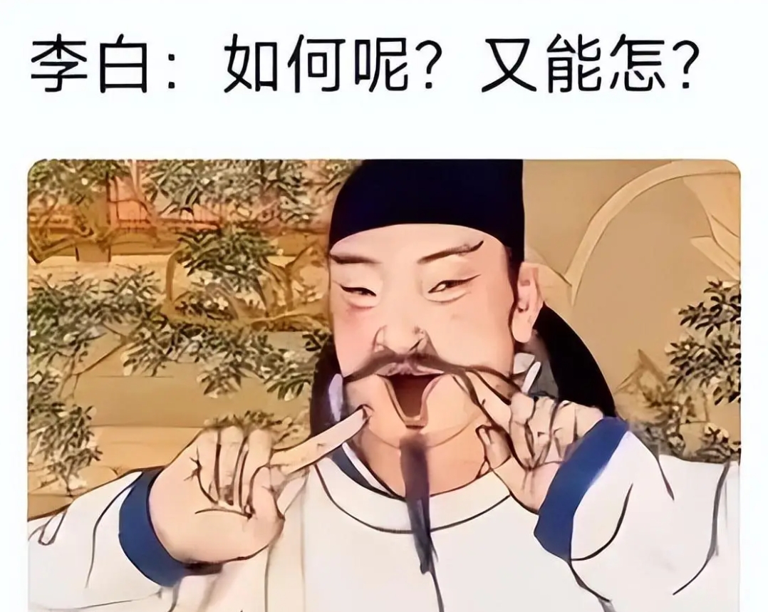 如何呢，又能怎