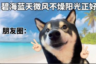 毛坯人生vs精裝朋友圈?是什么意思