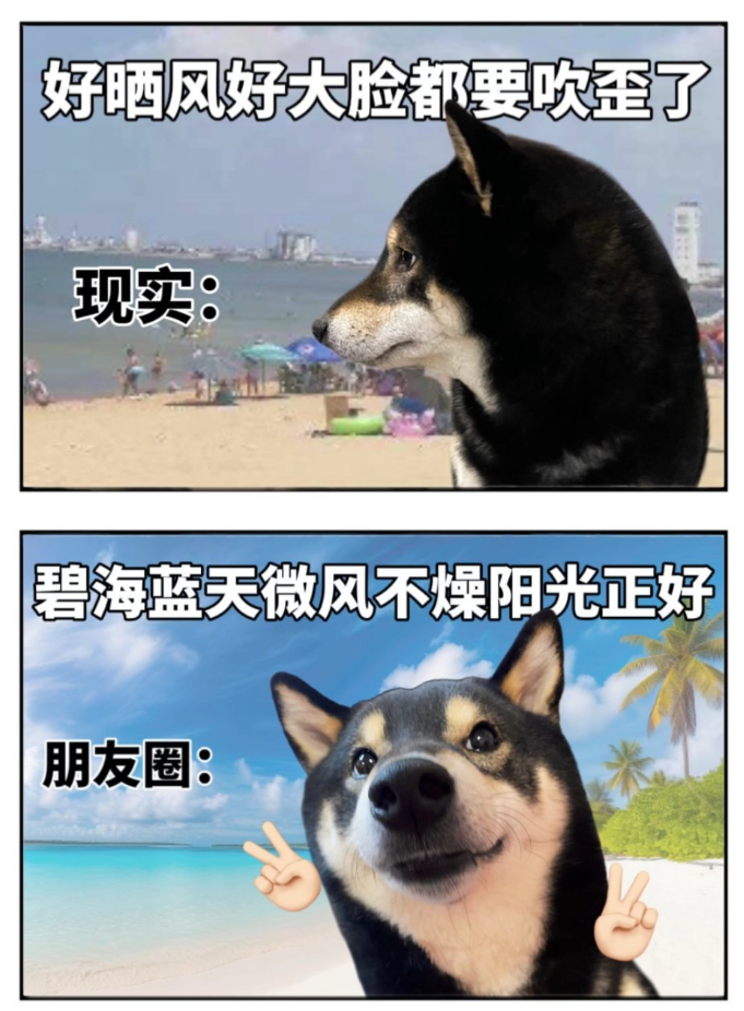 毛坯人生vs精装朋友圈‌