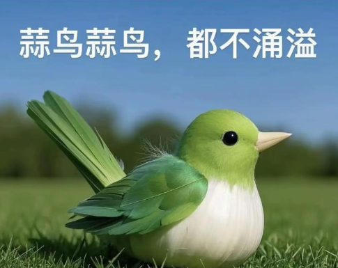 加班？蒜鸟，包的完不成