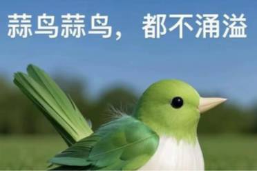 加班?蒜鸟,包的完不成是什么意思