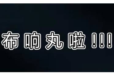 布響丸辣!?。∈鞘裁匆馑? width=
