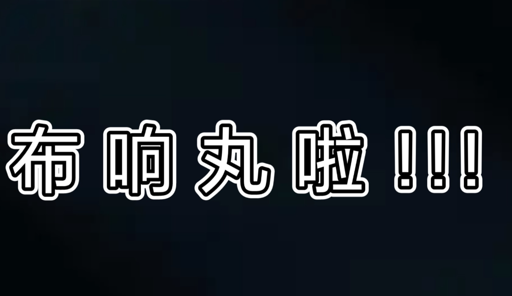 布響丸辣