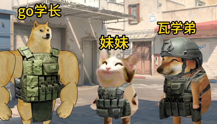 go学长/瓦学弟