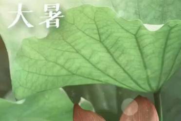 大暑三伏是什么意思