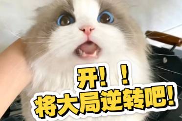 將大局逆轉(zhuǎn)吧是什么意思