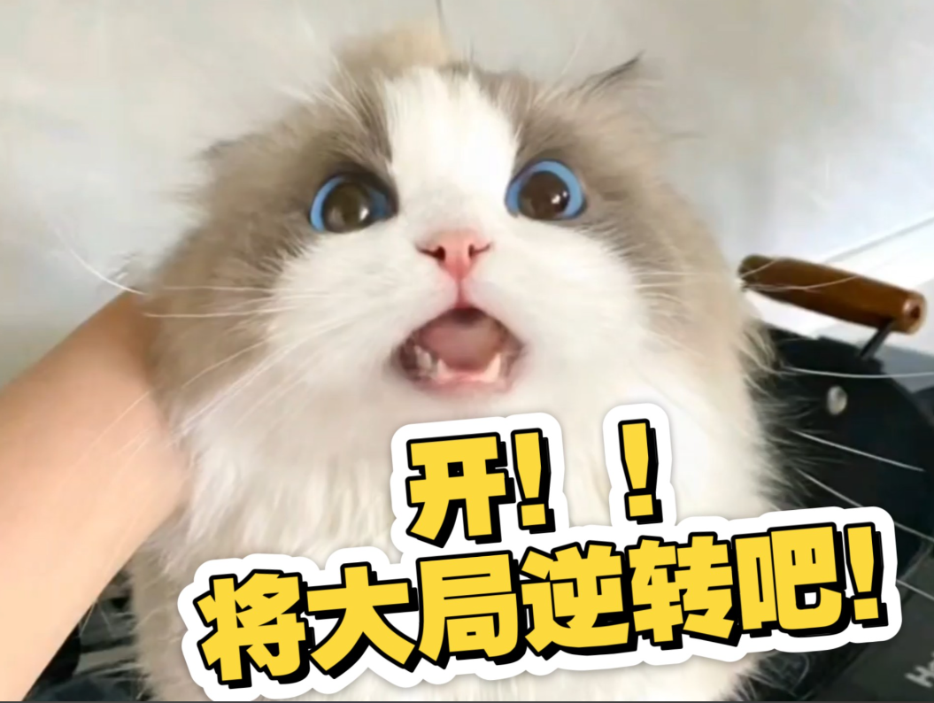 将大局逆转吧