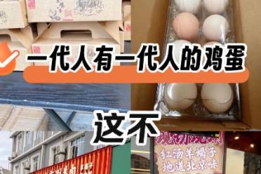 鸡蛋要领