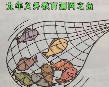知識漏網(wǎng)之魚