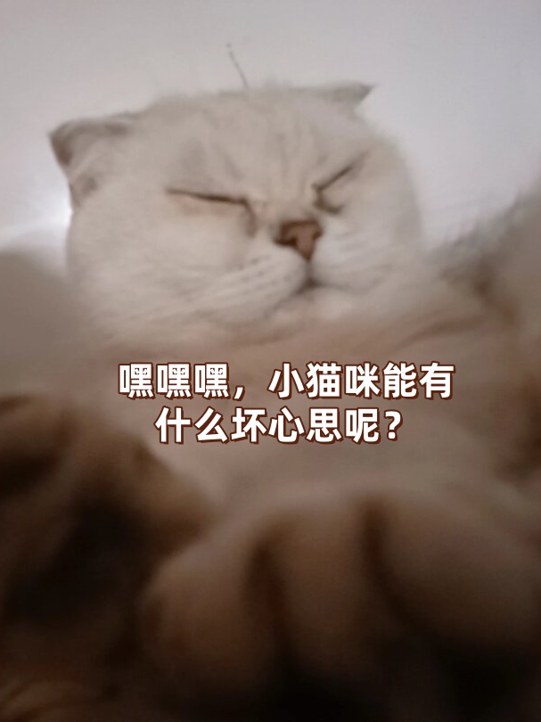 ××哪有什么壞心思呢