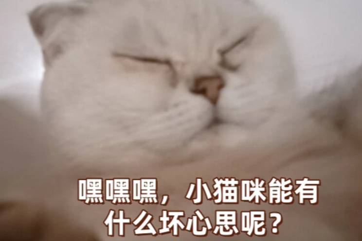××哪有什么壞心思呢是什么意思
