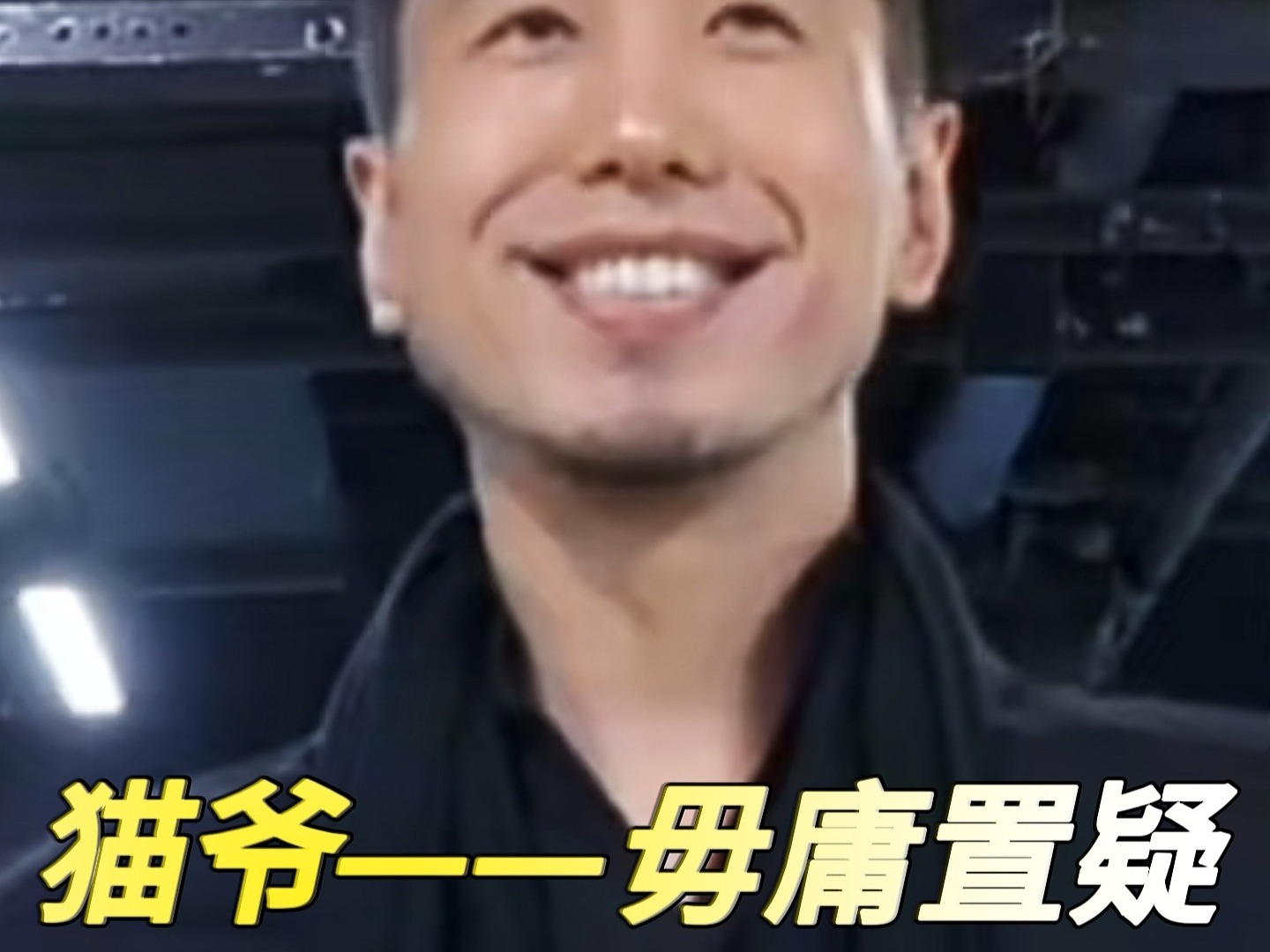 毋庸置疑猫爷